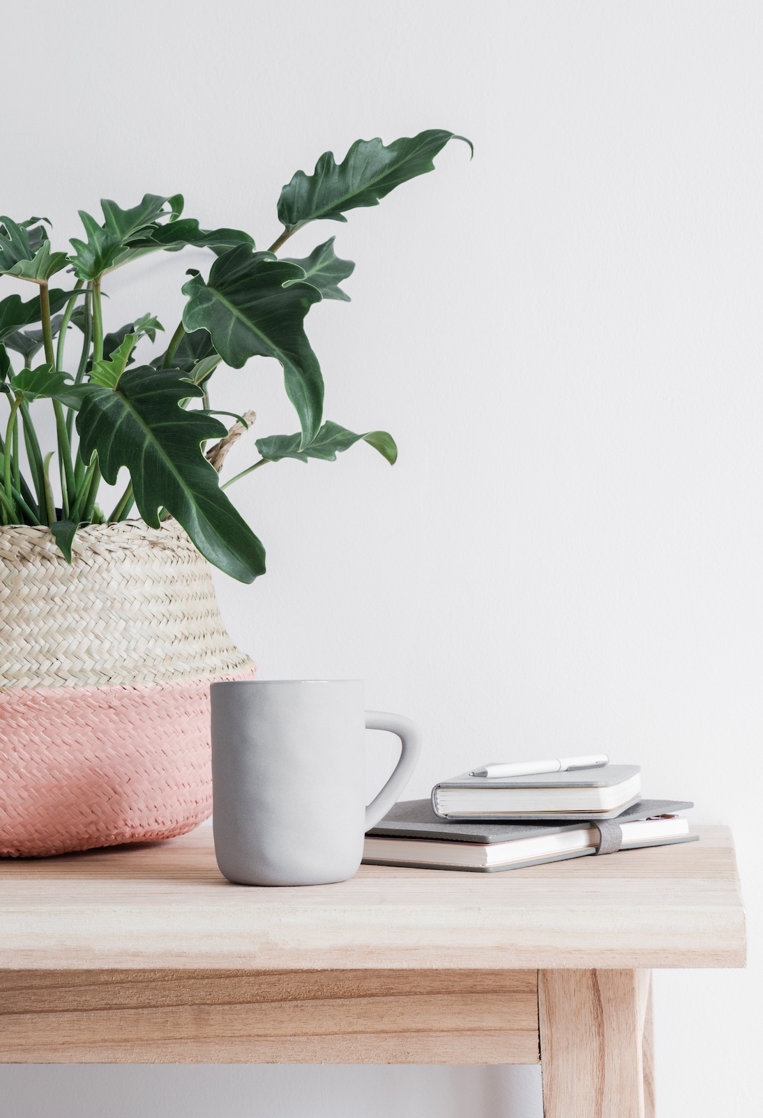 About3_TheSpanielStudio