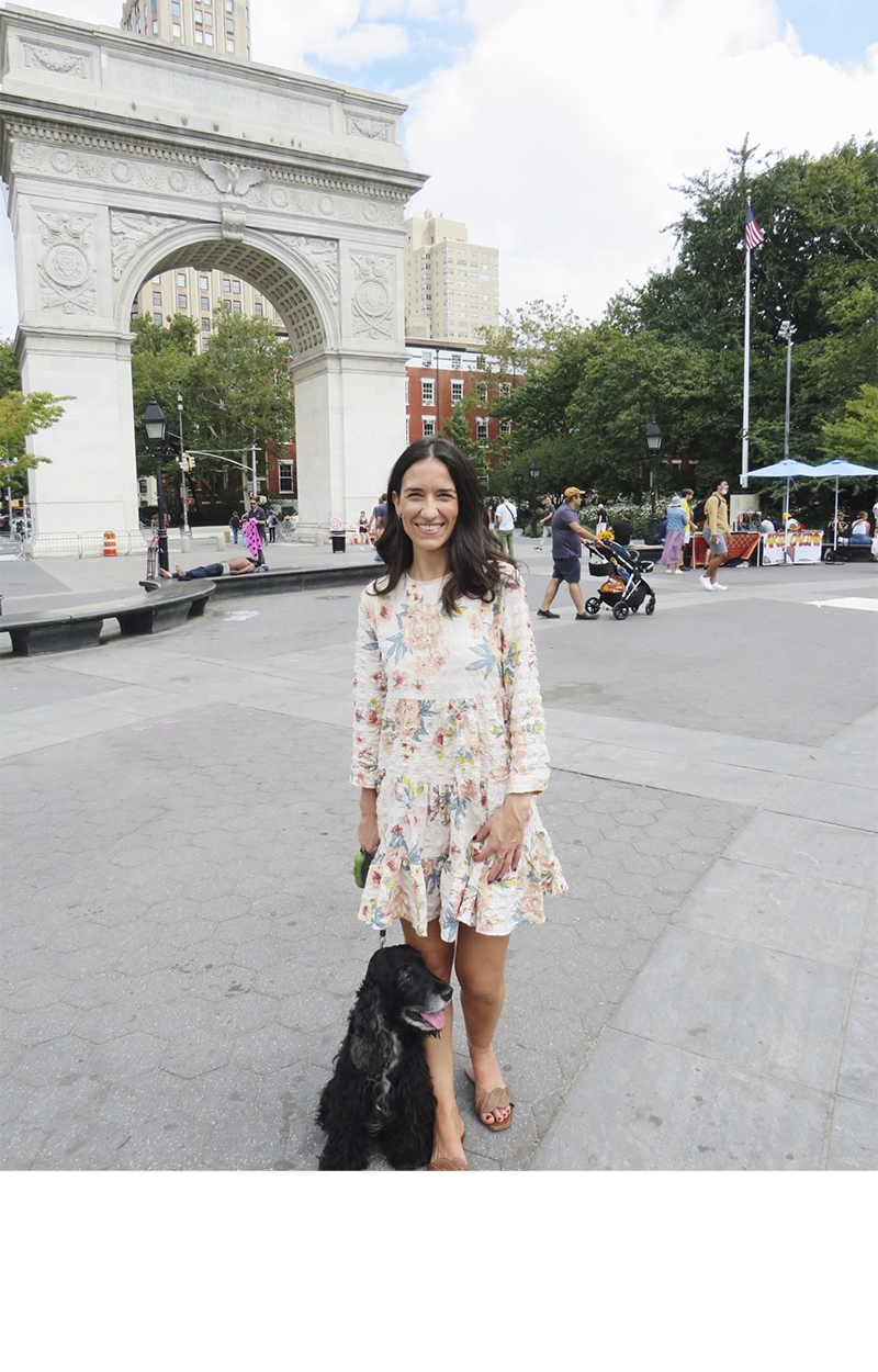 About Maria The Spaniel Studio